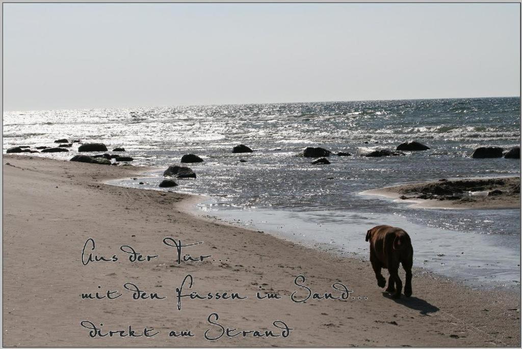 Baumzeltdorf Ostseebreeze Direkt Am Strand Dranske Extérieur photo