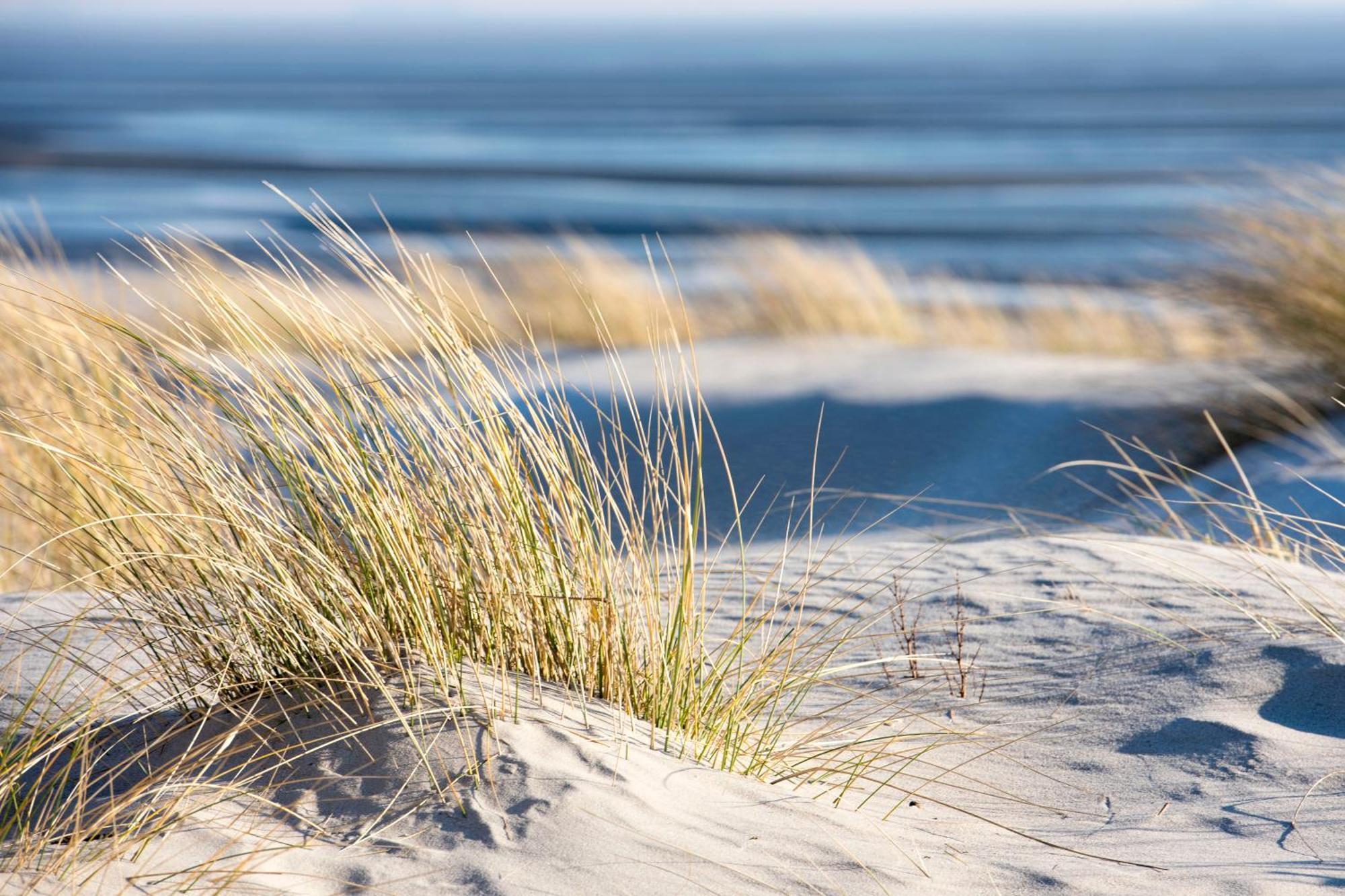 Baumzeltdorf Ostseebreeze Direkt Am Strand Dranske Extérieur photo